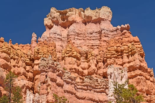 Colorful Crags in the Mountains in Bryce Canyon National Park in Utah