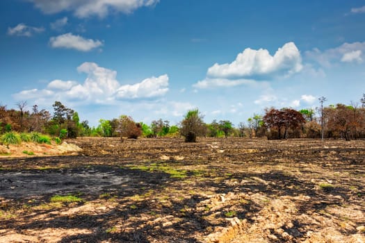 Agriculture with slash-and-burn,landscape in Thailand for the preparation of rice fields