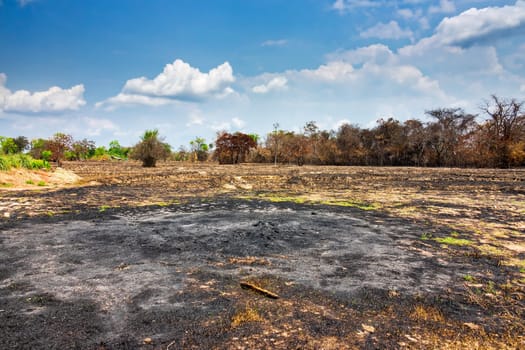 Agriculture with slash-and-burn,landscape in Thailand for the preparation of rice fields