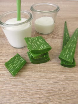Aloe Vera Gel in Yogurt
