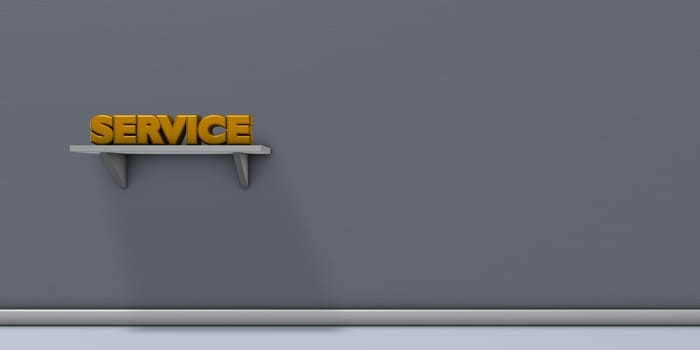 the word service on a shelf - 3d rendering
