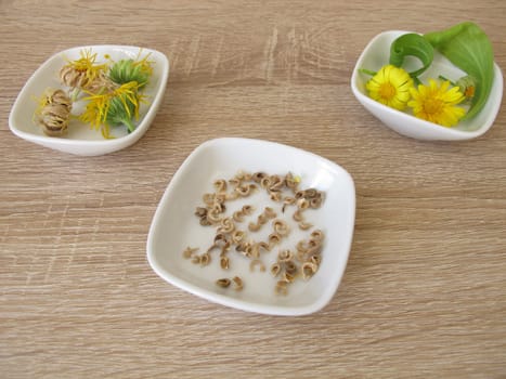 Seeds of marigolds