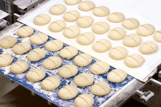 Industrial bakery line starting process of bread production