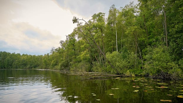 Lake in a nature reserve in the Müritz National Park in Mecklenburg-Western Pomerania
