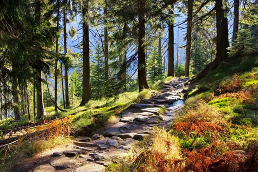 Wanderweg im Riesengebirge - typical hiking trail in Giant Mountains