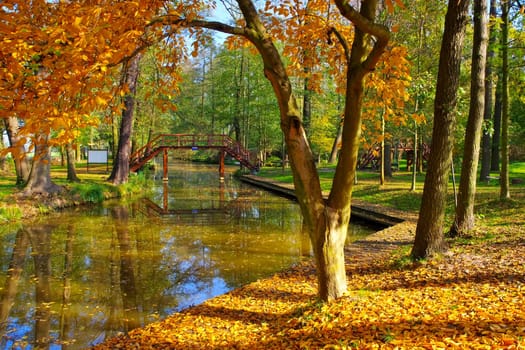 Raddusch Naturhafen im Spreewald - Spree Forest harbour in Raddusch in fall