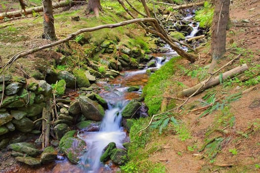 Gruenbach im Riesengebirge - creek in the Giant Mountains in Bohemia