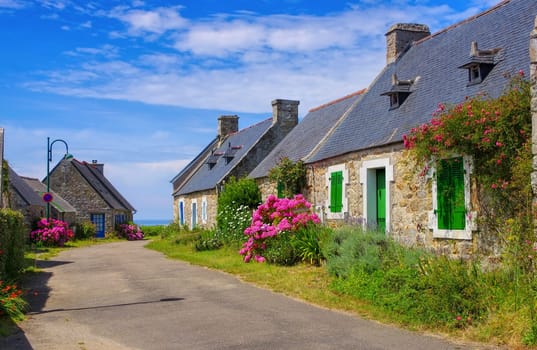 Brittany house with hydrangeas - typical old house and hydrangea flower in Brittany,France