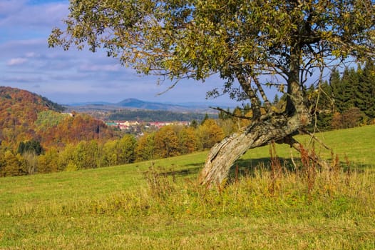 Schatzlar in the Giant Mountains in autumn - Zacler in Giant Mountains in autumn,Bohemia