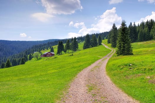 at the Richterbaude in the Giant Mountains- near mountain hut Richterbaude in Giant Mountains,Czechia
