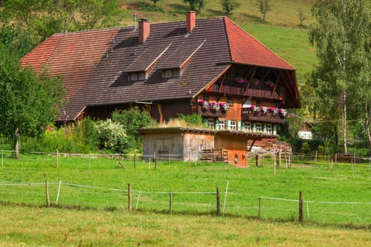 Black Forest in Germany