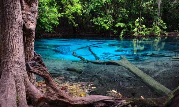 Emerald blue pool (Sra Morakot) in Krabi province, Thailand. Beautiful nature scene of crystal clear blue water in tropical rainforest.
