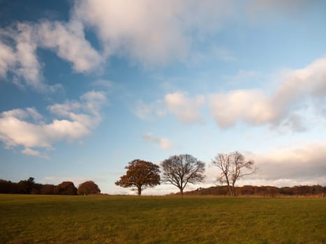 empty grass land country trees blue sky clouds landscape plain  essex  england  uk