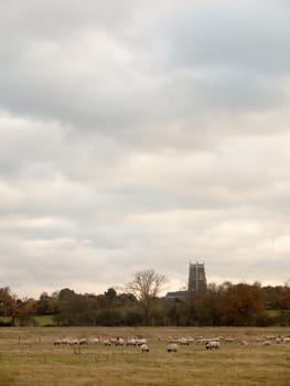 church tower skyline white clouds landscape background  essex  england  uk