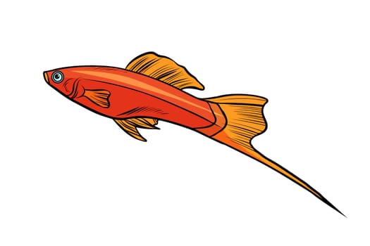 swordtail aquarium fish. Isolated on white background. Pop art retro vector illustration