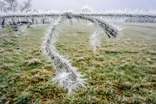Knots strapping with ice stars - detail