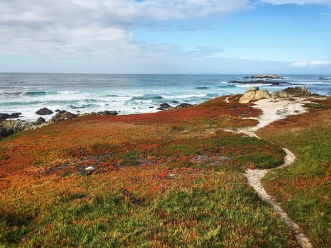 Pacific ocean cost in California, USA. Rocky beach in foreground and blue cloudy sky in background.