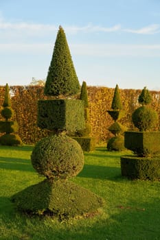 Boxwoods in a public baroque landscape park near Hundisburg in Germany