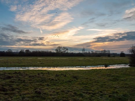 empty wet grass field low light sunset landscape dedham plain empty no people dramatic sky birds  essex  england  uk
