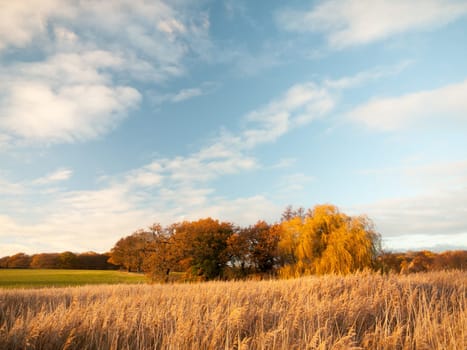 beautiful open landscape countryside space blue sky white clouds autumn  essex  england  uk