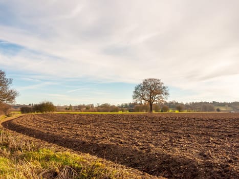 brown ploughed agricultural field outside farm landscape sky ground dirt tree  essex  england  uk