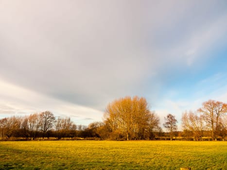 open empty green farming pasture field no people trees cloudy sky space  essex  england  uk