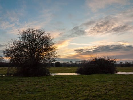 empty wet grass field low light sunset landscape dedham plain empty no people dramatic sky trees close up bare  essex  england  uk
