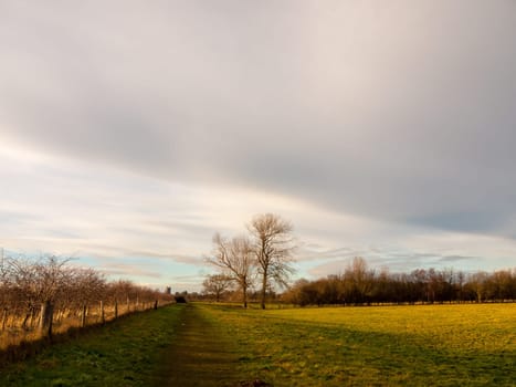 country landscape empty open space tree line sky  essex  england  uk