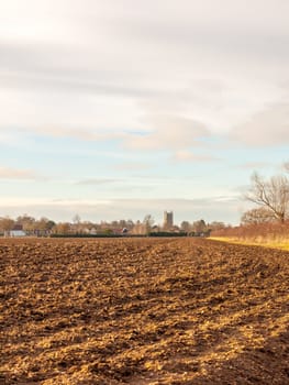 brown ploughed agricultural field outside farm landscape sky ground dirt tree  essex  england  uk