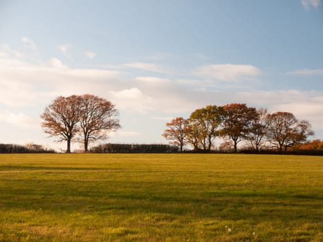 empty grass land country trees blue sky clouds landscape plain  essex  england  uk