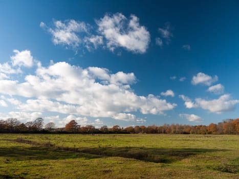 white clouds blue open sky space green grass land farm  essex  england  uk