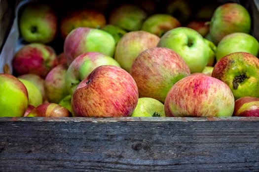 Fresh red and green apples for sale stored in retro grunge basket in the market
