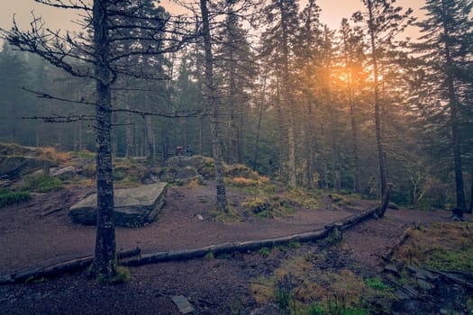 Pathway through the mysterious foggy forest on top of the Mount Floyen, Bergen, Norway