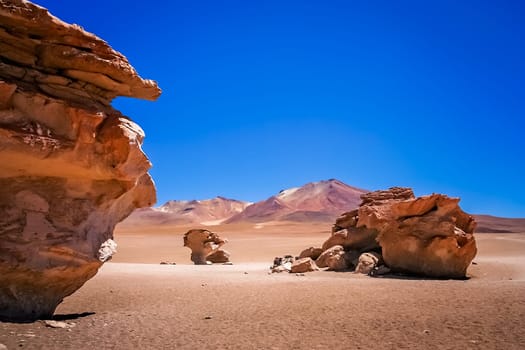 Piedra Arbol, one of the amazing rock and stone formations on the bolivian Altiplano, Bolivia