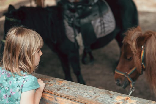 Cute little Caucasian girl looking at a little pony