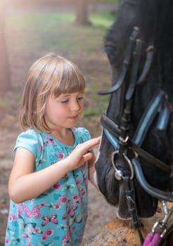 Cute little Caucasian girl stroking the head of a black horse