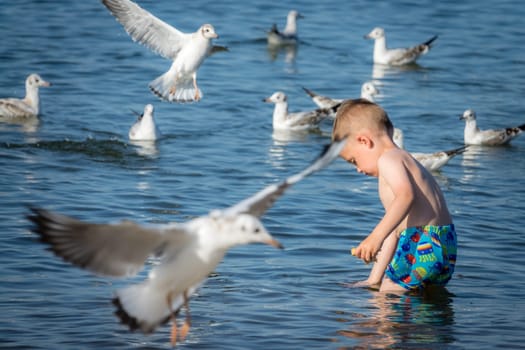 Little caucasian boy standing in the sea and throwing pieces of bread to white seagulls
