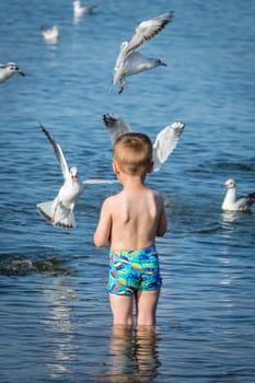 Little caucasian boy standing in the sea and throwing pieces of bread to white seagulls