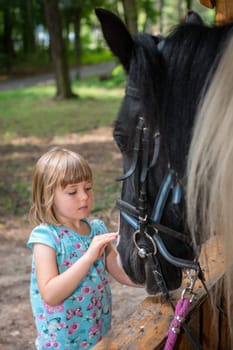 Cute little Caucasian girl stroking the head of a black horse