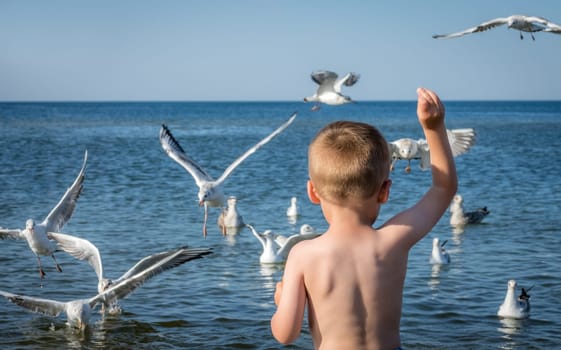 Little caucasian boy standing in the sea and throwing pieces of bread to white seagulls