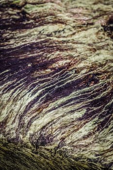 Closeup of a natural black and white velvet texture of sea grass.