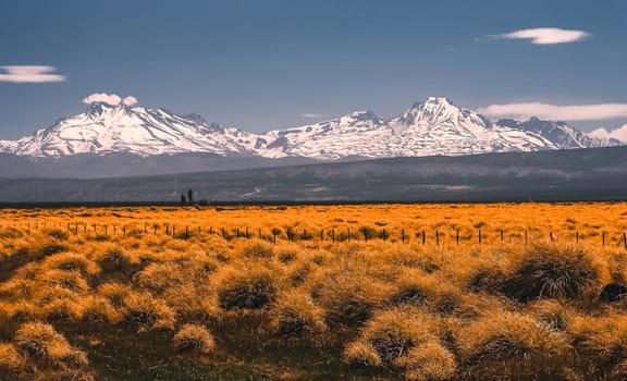 Wide grassland with the Andes in the background, Patagonia, Argentina