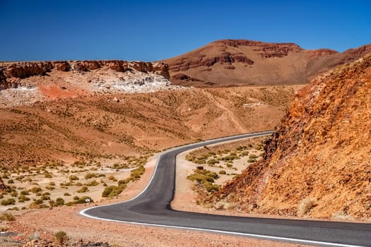 Empty road through dry landscape  in the northern part of Argentina