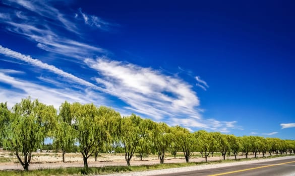 Beautiful road along the Rio Negro river Argentina