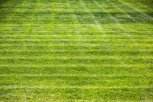 More about approved green lawn