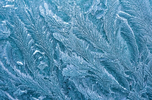 Iceflowers, frozen.The ice-cold frost forms ice crystals in beautiful unique patterns