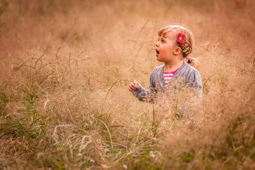 Cute little girl in the high grass in summer