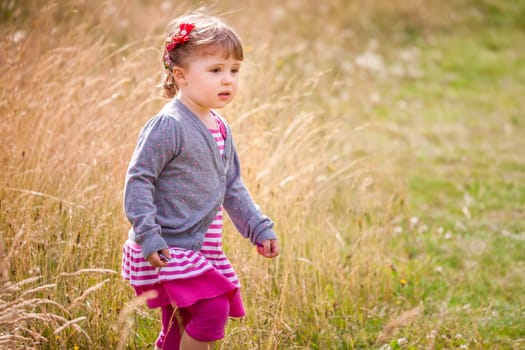 Baby girl walking among the high grass on a meadow in autumn