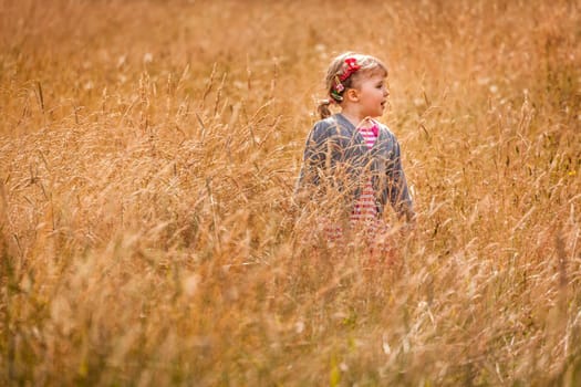 Cute little girl in the high grass in summer