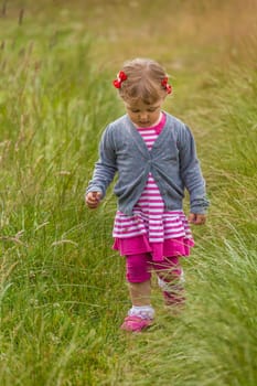Baby girl walking among the high grass on a meadow in autumn